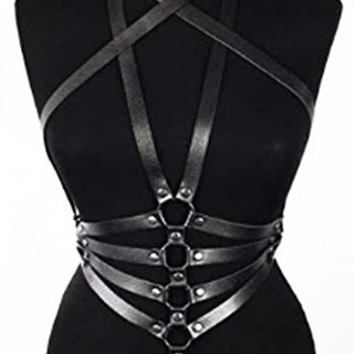 Arnés Negro de Cintura y Pecho. - Imagen 1