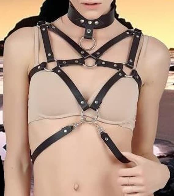 Arnés Negro de Pecho con Collar. - Imagen 1