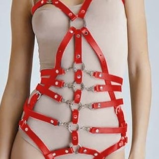 Arnés Rojo Body de cuerpo entero. - Imagen 1